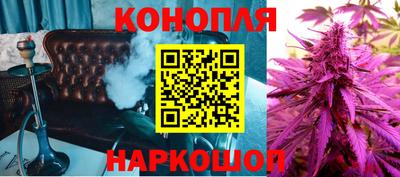 спиды Обь